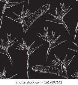 Strelitzia flowers, botanical, nature chalk vector seamless pattern on black background. Concept for print, wallpaper, wrapping paper 