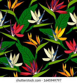 Strelitzia flowers seamless pattern. Bright flowers on a black background. Pattern for fabric, background for design of wrapping paper. Fashionable clothing style. Vector image