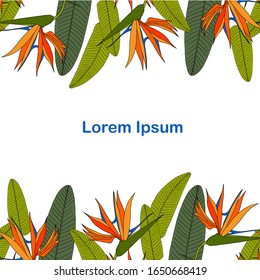 Strelitzia horisontal sin fisuras, Lorem Ipsum. Diseño artístico elementales vectorial fondo tropical colorido de flores anaranjadas, hojas verdes sobre blanco, para telas, para impresión
