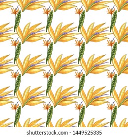 Strelitzia jungle foliage pattern background. Vector tropical decor. Summer botanical backdrop. Summer graphic. Magic background. Banana leaves.