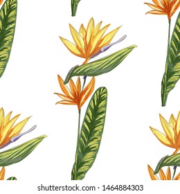 Strelitzia jungle foliage pattern background. Vector tropical decor. Summer botanical backdrop. Summer graphic. Magic background. Banana leaves.