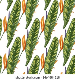 Strelitzia jungle foliage pattern background. Vector tropical decor. Summer botanical backdrop. Summer graphic. Magic background. Banana leaves.