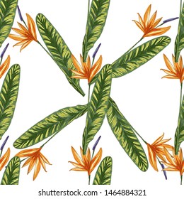 Strelitzia jungle foliage pattern background. Vector tropical decor. Summer botanical backdrop. Summer graphic. Magic background. Banana leaves.
