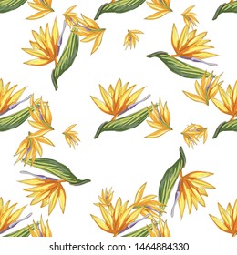 Strelitzia jungle foliage pattern background. Vector tropical decor. Summer botanical backdrop. Summer graphic. Magic background. Banana leaves.