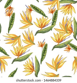 Strelitzia jungle foliage pattern background. Vector tropical decor. Summer botanical backdrop. Summer graphic. Magic background. Banana leaves.