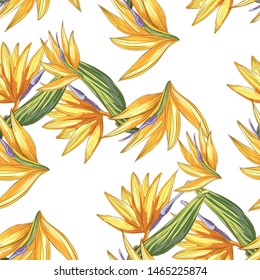 Strelitzia jungle foliage pattern background. Vector tropical decor. Summer botanical backdrop. Summer graphic. Magic background. Banana leaves.