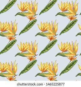 Strelitzia jungle foliage pattern background. Vector tropical decor. Summer botanical backdrop. Summer graphic. Magic background. Banana leaves.