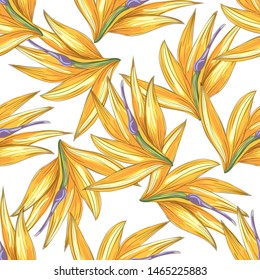 Strelitzia jungle foliage pattern background. Vector tropical decor. Summer botanical backdrop. Summer graphic. Magic background. Banana leaves.