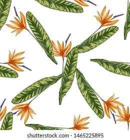 Strelitzia jungle foliage pattern background. Vector tropical decor. Summer botanical backdrop. Summer graphic. Magic background. Banana leaves.