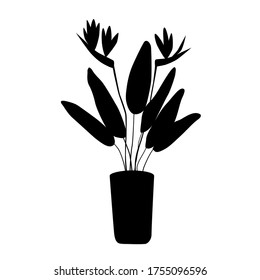 Strelitzia - a large domestic plant in a flower pot. Black silhouette for logo and icon. Home growing - an environmentally friendly hobby. Stock vector illustration isolated on white.