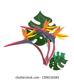 Strelitzia and monstera, exotic flower concept