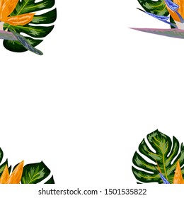 Strelitzia pattern. Tropical flower, blossom cluster seamless pattern . Beautiful background with tropical flowers and palm leaves, plant and leaf.