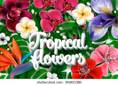 Strelitzia pattern. Tropical flower, blossom cluster seamless pattern . Beautiful background with tropical flowers and palm leaves, plant and leaf.