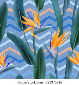 Strelitzia Reginae blossom or crane flower, bird of paradise seamless tropical vector pattern. African plant flower and zigzag stripes background illustration. Fabric print, textile tropical pattern.