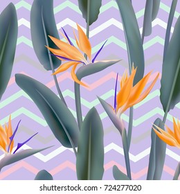 Strelitzia Reginae blossom or crane flower, bird of paradise seamless tropical vector pattern. African plant flower and zigzag stripes background illustration. Fabric print, textile tropical pattern.