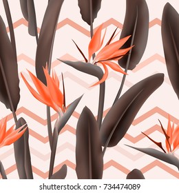 Strelitzia Reginae blossom or crane flower, bird of paradise seamless tropical vector pattern. African plant flower and zigzag stripes background illustration. Fabric print, textile tropical pattern.