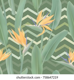 Strelitzia Reginae blossom or crane flower, bird of paradise seamless tropical vector pattern. African plant flower and zigzag stripes background illustration. Fabric print, textile tropical pattern.