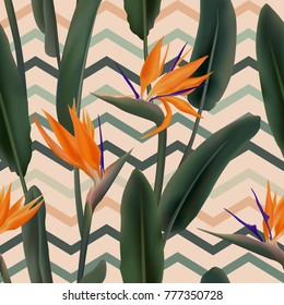 Strelitzia Reginae blossom or crane flower, bird of paradise seamless tropical vector pattern. African plant flower and zigzag stripes background illustration. Fabric print, textile tropical pattern.