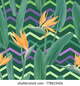 Strelitzia Reginae blossom or crane flower, bird of paradise seamless tropical vector pattern. African plant flower and zigzag stripes background illustration. Fabric print, textile tropical pattern.