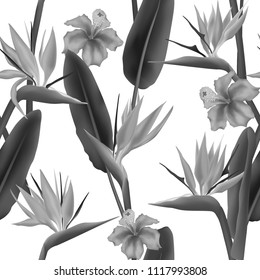 Strelitzia Reginae blossom also known as crane flower or bird of paradise, hawaiian hibiscus seamless vector pattern. South Africa flowering plant and strelitzia fabric print, textile.