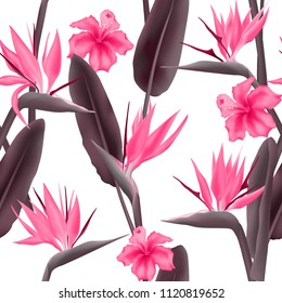 Strelitzia Reginae blossom also known as crane flower or bird of paradise, hawaiian hibiscus seamless vector pattern. South Africa flowering plant and strelitzia fabric print in pink grey.
