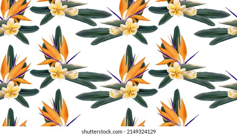 Strelitzia Reginae blossom also known as crane flower or bird of paradise, hawaiian plumeria frangipani seamless vector pattern. Flowering plant strelitzia fabric print.