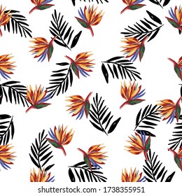 Strelitzia reginae crane flower pattern with black palm leaves on white background. Wallpaper with tropical flowers. Perfect for textile, wrapping.