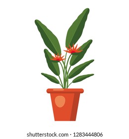 Strelitzia reginae, flower or bird of paradise. Green leaves, orange and violet blossom bouquet. South Africa flowering plant in vase. Vector illustration isolated on white background