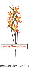 Strelitzia Reginae Flowers, Realistic Gradient 3d Illustration. Floral Border, Poster Isolated on White. Vertical Bouquet with South African Tropical Plants - Bird of Paradise Flower, or Crane Flower.