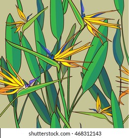 Strelitzia reginae. Seamless, endless background