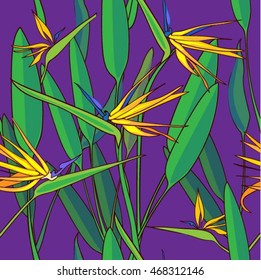 Strelitzia reginae. Seamless, endless background