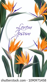 Strelitzia reginae tropical flower vector cute card. Green leaves, orange violet tropical blossom bouquet realistic design. South Africa flowering plant also known as crane flower or bird of paradise.