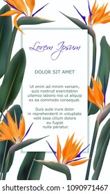 Strelitzia reginae tropical flower vector frame card. Green leaves, orange violet tropical blossom bouquet realistic design. South Africa flowering plant also known as crane flower or bird of paradise