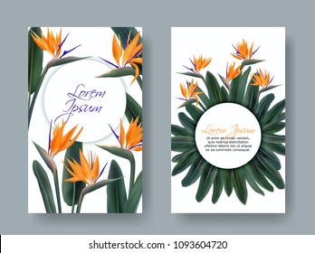 Strelitzia reginae tropical flower vector cards. Green leaves, orange tropical blossom bouquet realistic design. South Africa flowering plant also known as crane flower or bird of paradise. Cards set