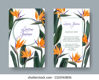 Strelitzia reginae tropical flower vector card. Green leaves, orange and violet tropical blossom bouquet realistic design. South Africa flowering plant also known as crane flower or bird of paradise. 