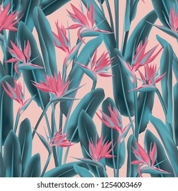 Strelitzia reginae tropical flower vector seamless pattern. Jungle plant paradise tropical summer fabric design. South African plant tropical blossom of crane flower, strelitzia. Floral textile print.