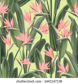 Strelitzia reginae tropical flower vector seamless pattern. Bohemian tropical plant fabric print design. South African plant tropical blossom of crane flower, strelitzia. Floral textile print.