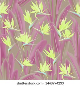 Strelitzia reginae tropical flower vector seamless pattern. Jungle exotic tropical plant fabric design. South African plant tropical blossom of crane flower, strelitzia. Floral textile print.