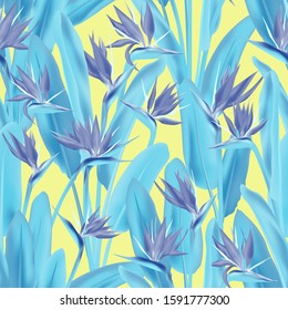 Strelitzia reginae tropical flower vector seamless pattern. Bohemian tropical plant fabric print design. South African plant tropical blossom of crane flower, strelitzia. Floral textile print.