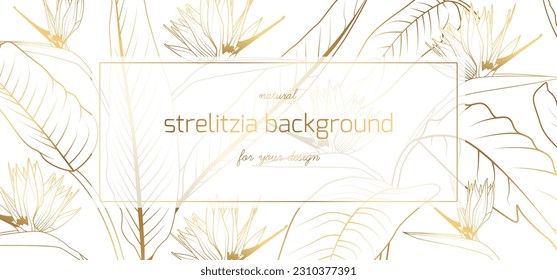 Strelitzia Reginea or bird of paradise flowers. Floral border frame card template. Golden gradient on white background. Vector design illustration. for bunner, wedding invitation card.