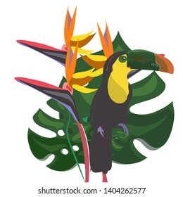 Strelitzia and toucan for print or design
