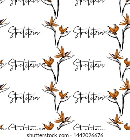 Strelitzia tropical seamless pattern background. Sketch in watercolor style. Hand drawn line on white backdrop.