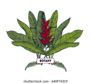 Strelitzia. Tropical summer background. Botanical hand drawn illustration. Template design for sail, wedding save date, envelope, valentine, for party, holiday decor. Collection of sketch object.