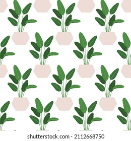 Strelitzia. Vector seamless pattern of a houseplant in a pot on a white background.