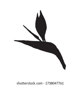 Strelitzia vector sketch. Black silhouette of strelitzia flower isolated on white background. Strelitzia, crane lily, bird of paradise.