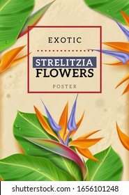 Strelitzia vertical poster with isolated tropical flowers and leaves bouquet exotic foliage in realistic retro vintage style. Vector illustration