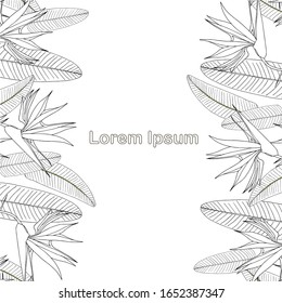 Patrón monocromado vertical sin fisuras, Lorem Ipsum. Elementos de diseño material vectorial fondo tropical en blanco, para web, para impresión