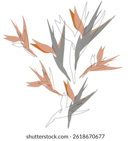 strelizia line orange and grey pattern 