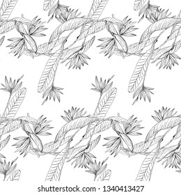 Strelizia tropical paradise pattern for print design. Floral seamless Flower background. Trendy spring blossom decoration.