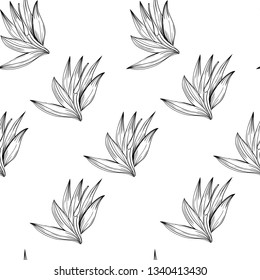 Strelizia tropical paradise pattern for print design. Floral seamless Flower background. Trendy spring blossom decoration.